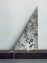 高橋美紗貴