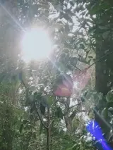 ロジャー・ジャヌワタ