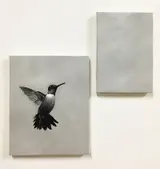 佐藤純也