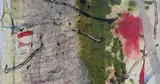 春名 真歩