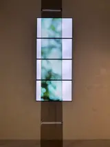サリーナ・サッタポン