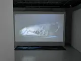 楊一楽