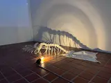 詩霖