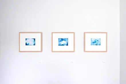 関貴子 個展 The Core