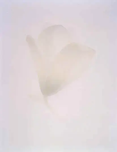 時任亜矢子 版画展