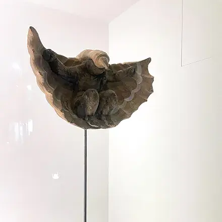 広沢仁 スターレス