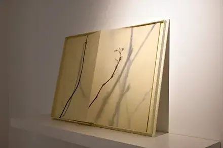 足立涼子 Exhibition "And So Ad Infinitum"