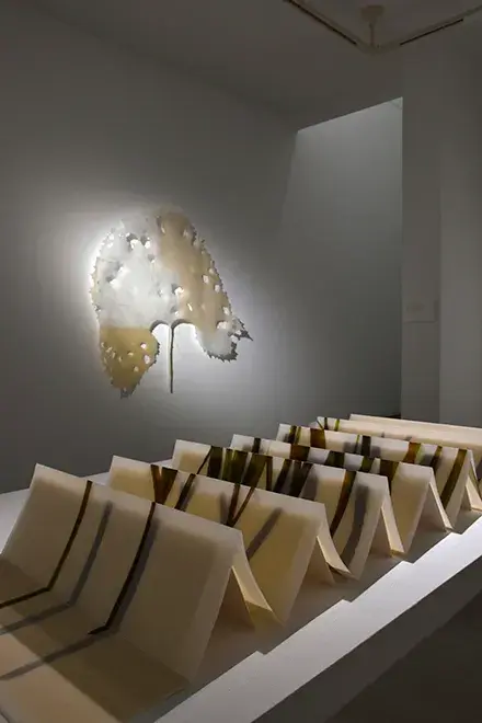 足立涼子 Exhibition "And So Ad Infinitum"