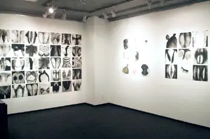 シモナ・デフローリン展
