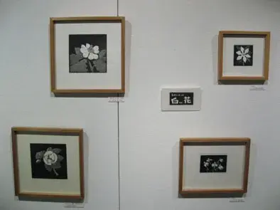 木村茂展