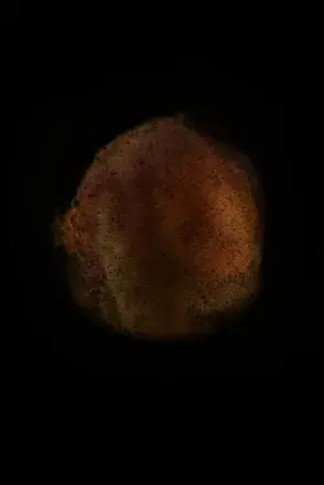 中里和人 光ノ境界