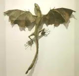 江本創
