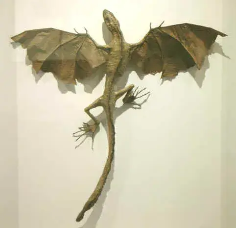 江本 創 展