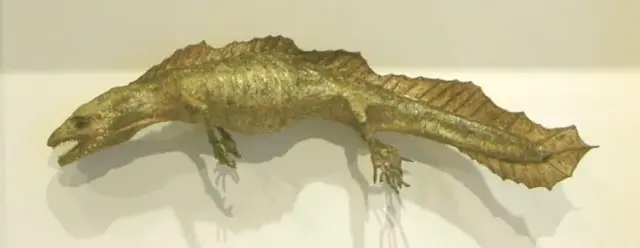 江本 創 展