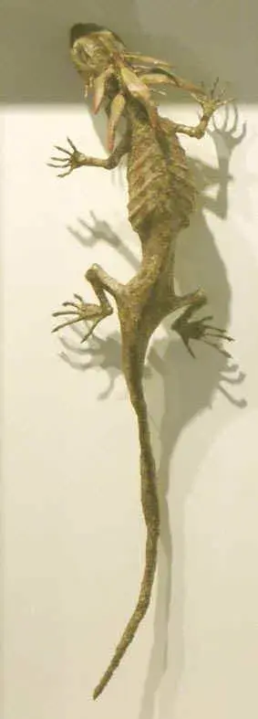 江本 創 展