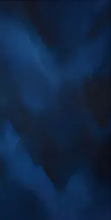 糸数 都 展