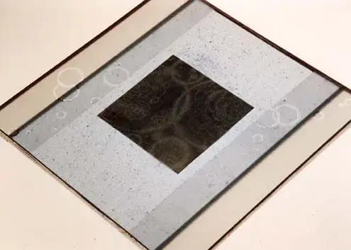 寺尾 環 展