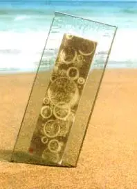寺尾 環 展