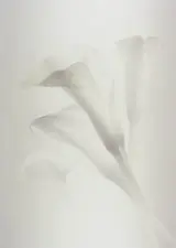 時任亜矢子