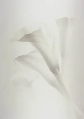 時任亜矢子 展