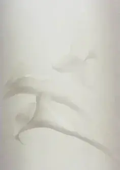 時任亜矢子 展