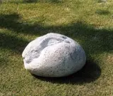 生野宏宜