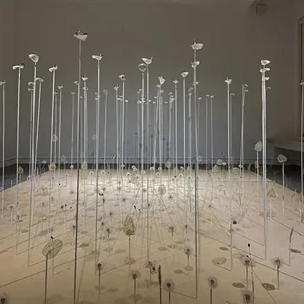 菅野美榮展 旅スル種子・アオギリ