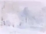 ナターシャ・ファジェーエバ