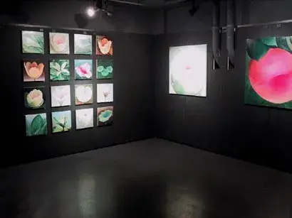 富田 有紀子 展
