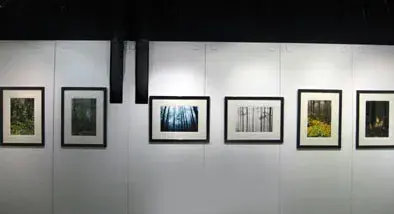 青柳茂展