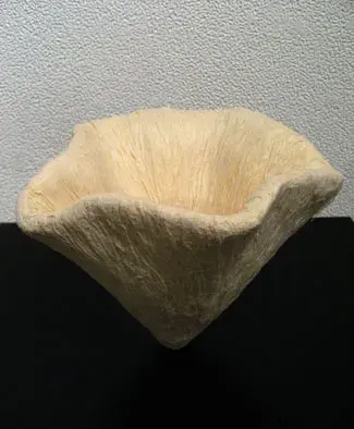 服部俊弘展