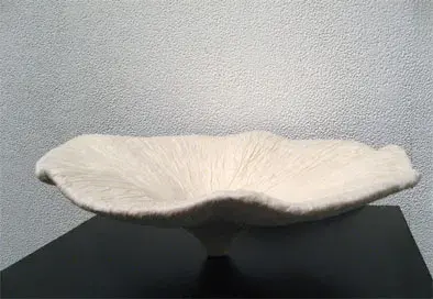 服部俊弘展