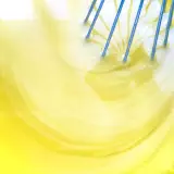 手島荘子