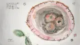 加島祥造