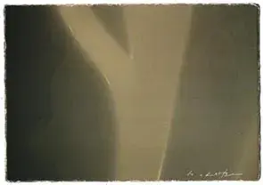 岡部稔 展