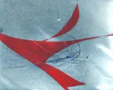田島環