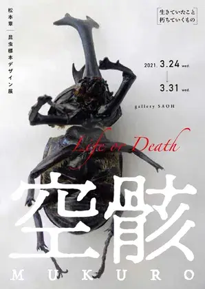 松本 章 昆虫標本デザイン展