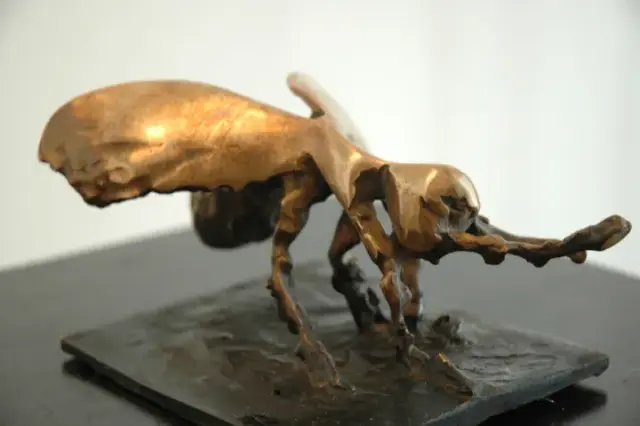 田中栄作 Exhibition
