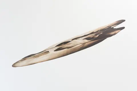 オリバー・ビア
