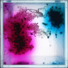 Eaten Colors