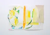 ナカバヤシアリサ