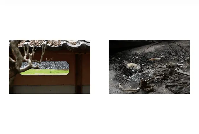 森山泰地 個展「よくわからないこと—Things Not Quite Understood」