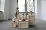 西久松友花