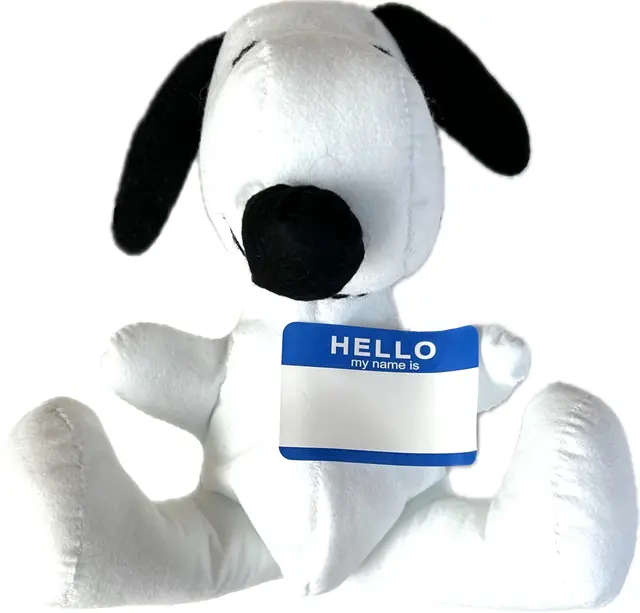 長谷川有里 個展「HELLO my name is....」