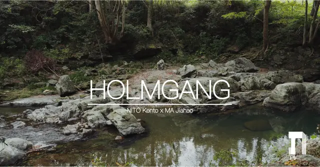 HOLMGANG
