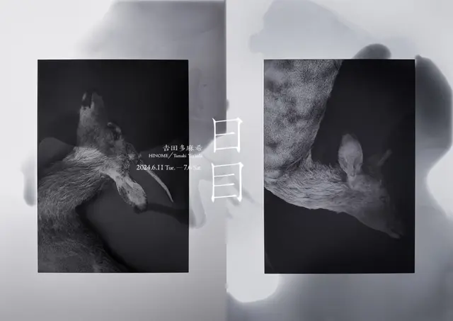 𠮷田多麻希「日目」