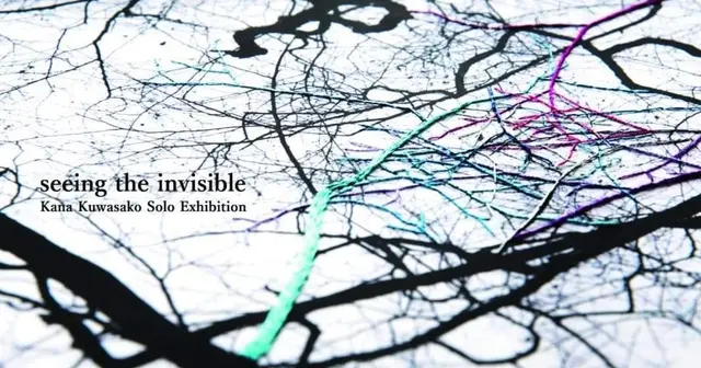 seeing the invisible